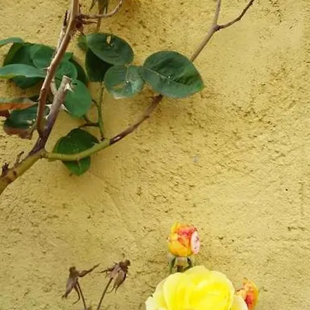 House With 4 Bedrooms In With Wonderful City View Enclosed Garden And Wifi * Ribaseca